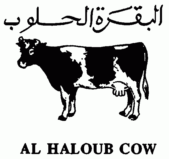 al-haloub-cow