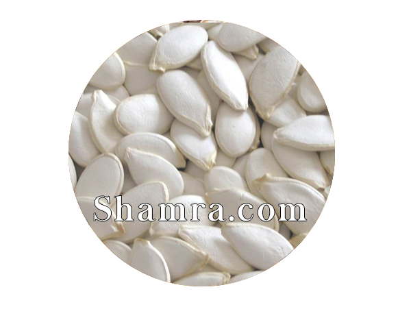 product #NUTSL001