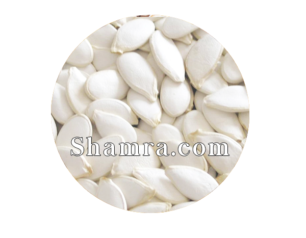 product #NUTSL007